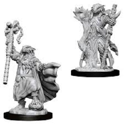 D&D Mini Dragonborn Sorcerer | Game Master's Emporium (The New GME)