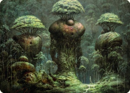 Forest Art Card [Dominaria United Art Series] | Game Master's Emporium (The New GME)