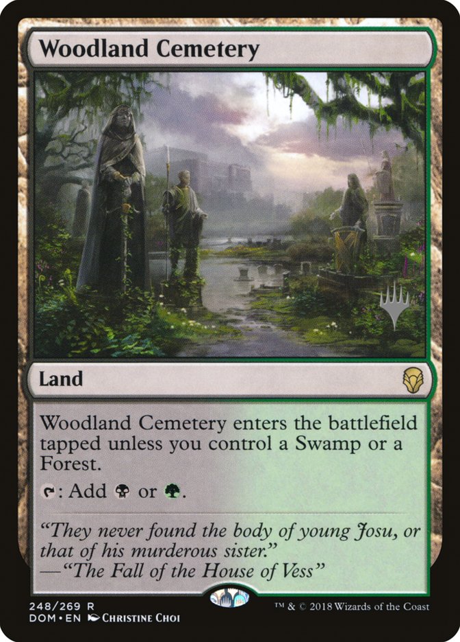 Woodland Cemetery (Promo Pack) [Dominaria Promos] | Game Master's Emporium (The New GME)
