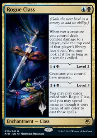 Rogue Class (Promo Pack) [Dungeons & Dragons: Adventures in the Forgotten Realms Promos] | Game Master's Emporium (The New GME)