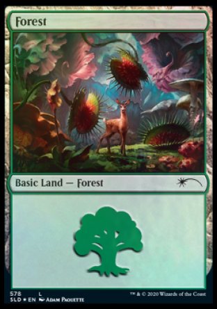 Forest (Predatory) (578) [Secret Lair Drop Promos] | Game Master's Emporium (The New GME)