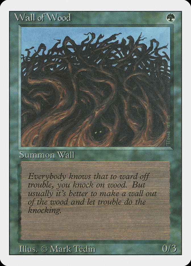 Wall of Wood [Revised Edition] | Game Master's Emporium (The New GME)