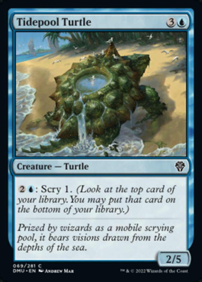 Tidepool Turtle [Dominaria United] | Game Master's Emporium (The New GME)