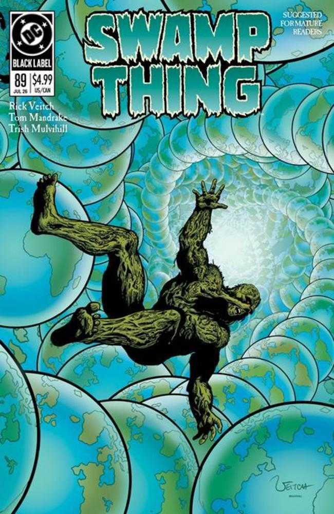 Swamp Thing 1989 #2 (Of 4) Cover A Rick Veitch (Mature) | Game Master's Emporium (The New GME)