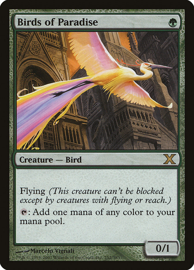 Birds of Paradise [Tenth Edition] | Game Master's Emporium (The New GME)