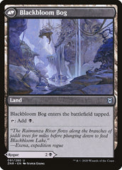 Blackbloom Rogue // Blackbloom Bog [Zendikar Rising] | Game Master's Emporium (The New GME)