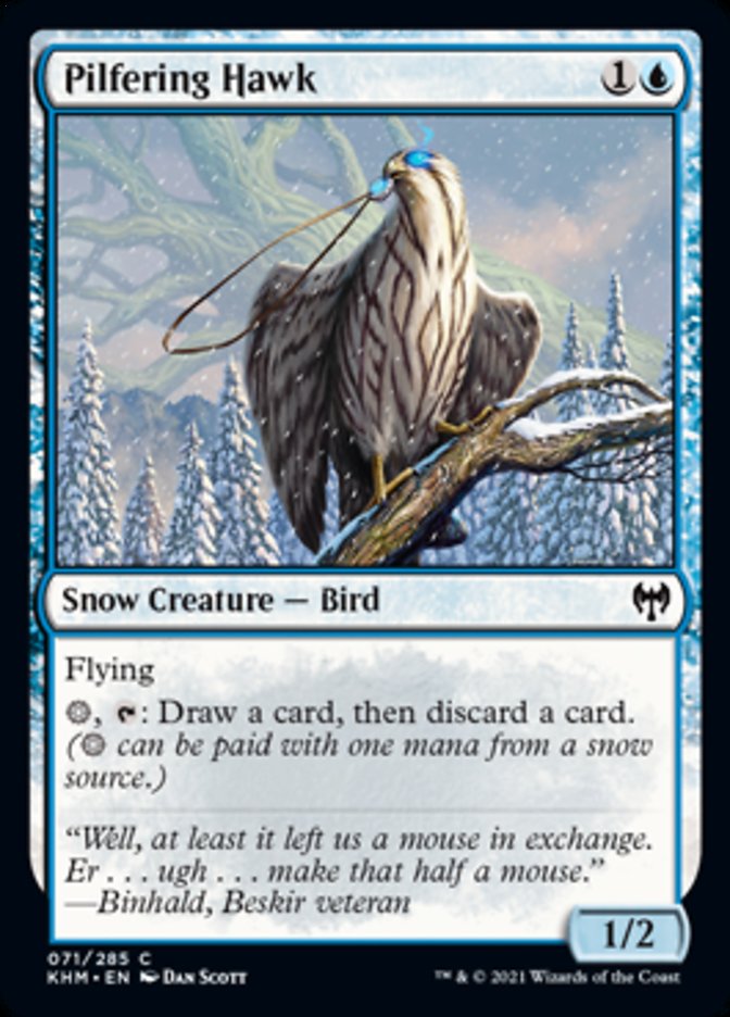 Pilfering Hawk [Kaldheim] | Game Master's Emporium (The New GME)