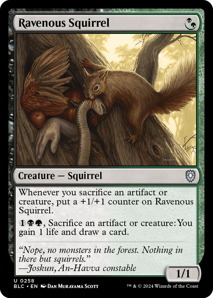 Ravenous Squirrel [Bloomburrow Commander] | Game Master's Emporium (The New GME)