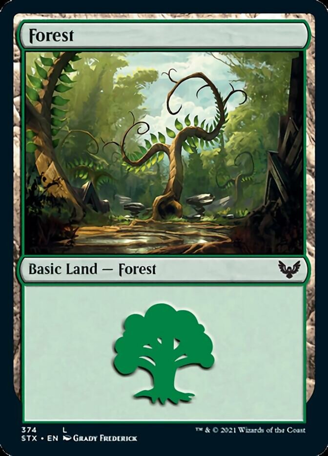Forest (374) [Strixhaven: School of Mages] | Game Master's Emporium (The New GME)