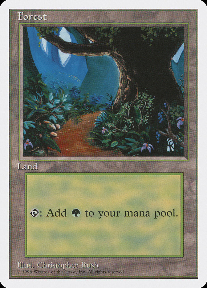 Forest (Dirt Path) [Introductory Two-Player Set] | Game Master's Emporium (The New GME)
