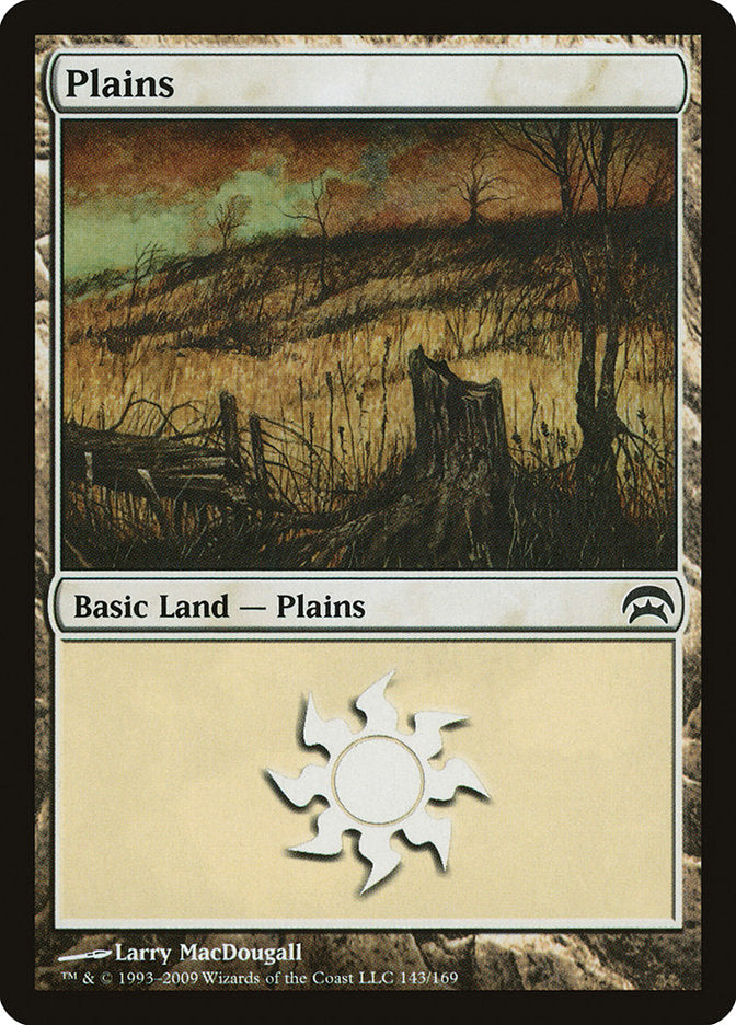 Plains (143) [Planechase] | Game Master's Emporium (The New GME)