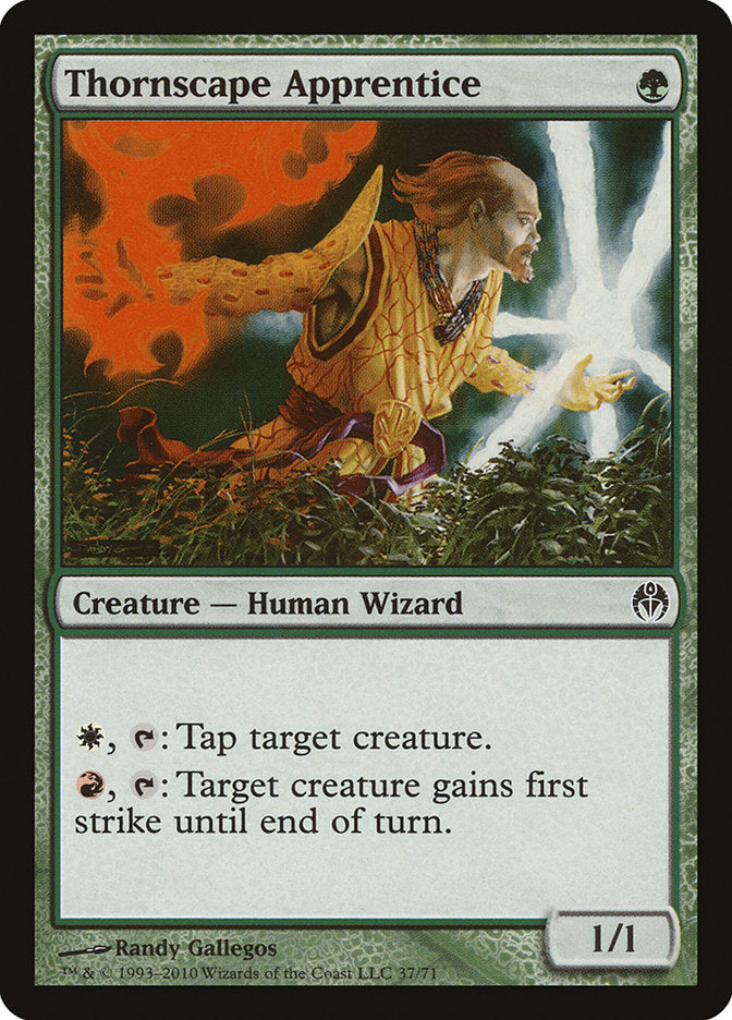 Thornscape Apprentice [Duel Decks: Phyrexia vs. the Coalition] | Game Master's Emporium (The New GME)