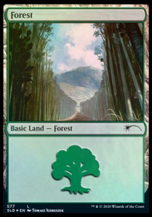 Forest (Walls) (577) [Secret Lair Drop Promos] | Game Master's Emporium (The New GME)