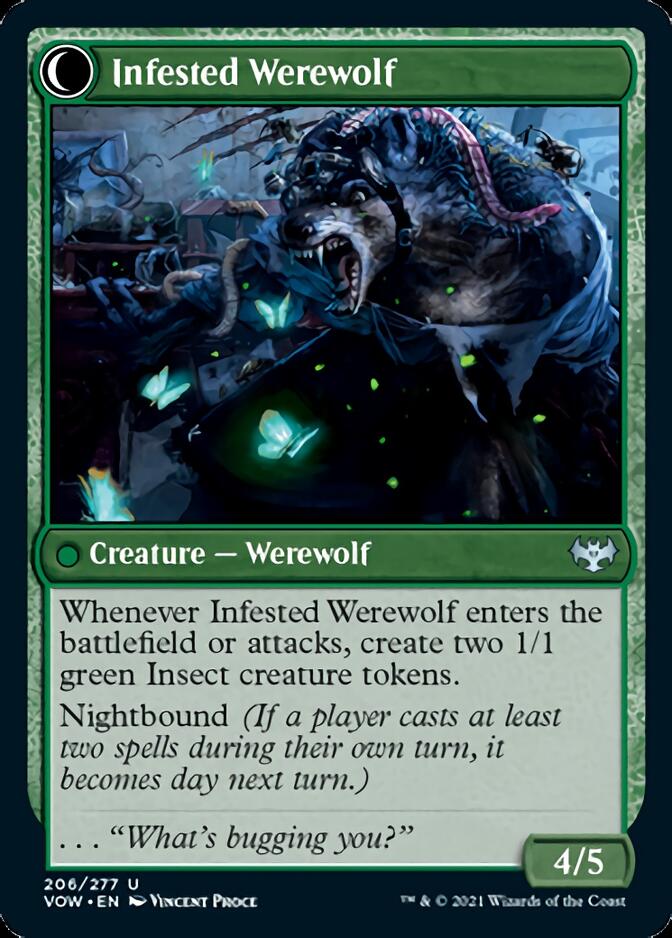 Infestation Expert // Infested Werewolf [Innistrad: Crimson Vow] | Game Master's Emporium (The New GME)