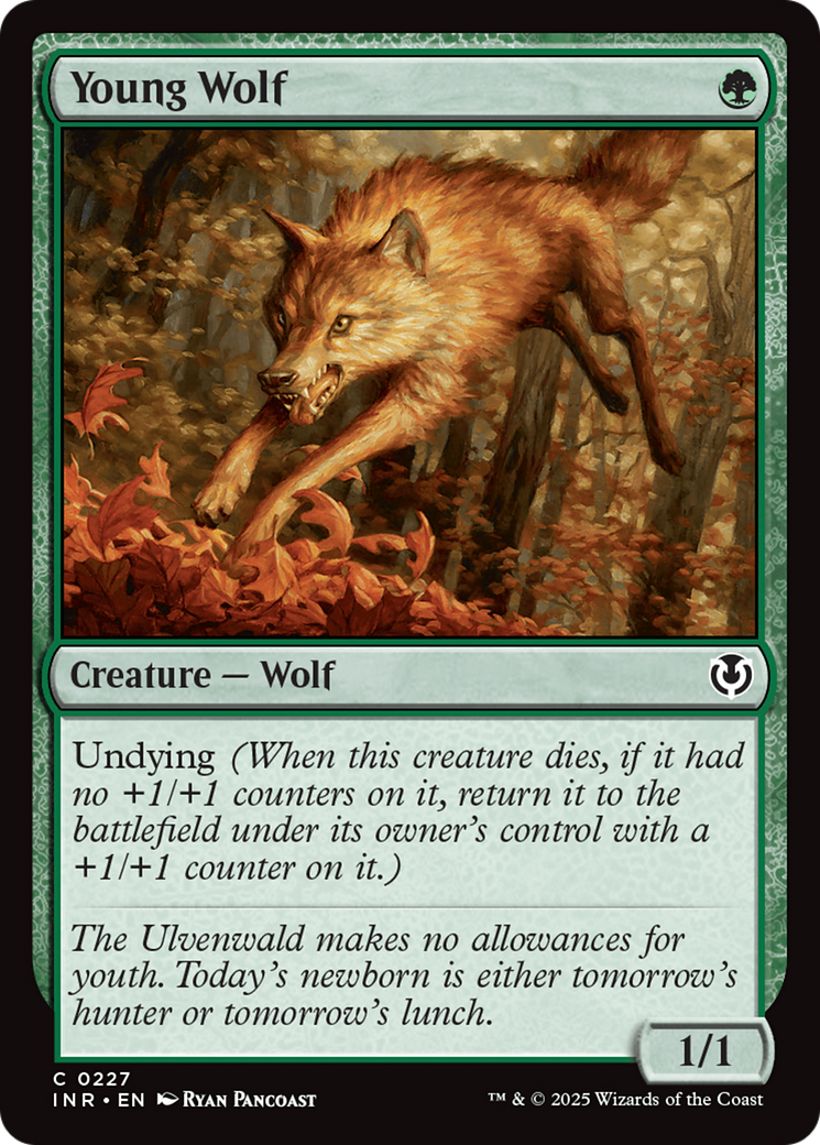 Young Wolf [Innistrad Remastered] | Game Master's Emporium (The New GME)