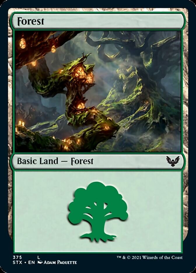 Forest (375) [Strixhaven: School of Mages] | Game Master's Emporium (The New GME)