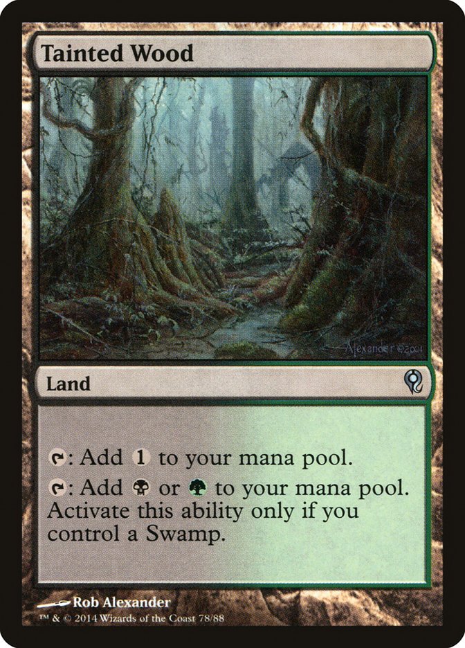 Tainted Wood [Duel Decks: Jace vs. Vraska] | Game Master's Emporium (The New GME)