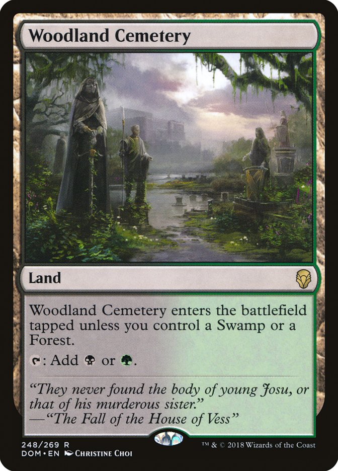 Woodland Cemetery [Dominaria] | Game Master's Emporium (The New GME)