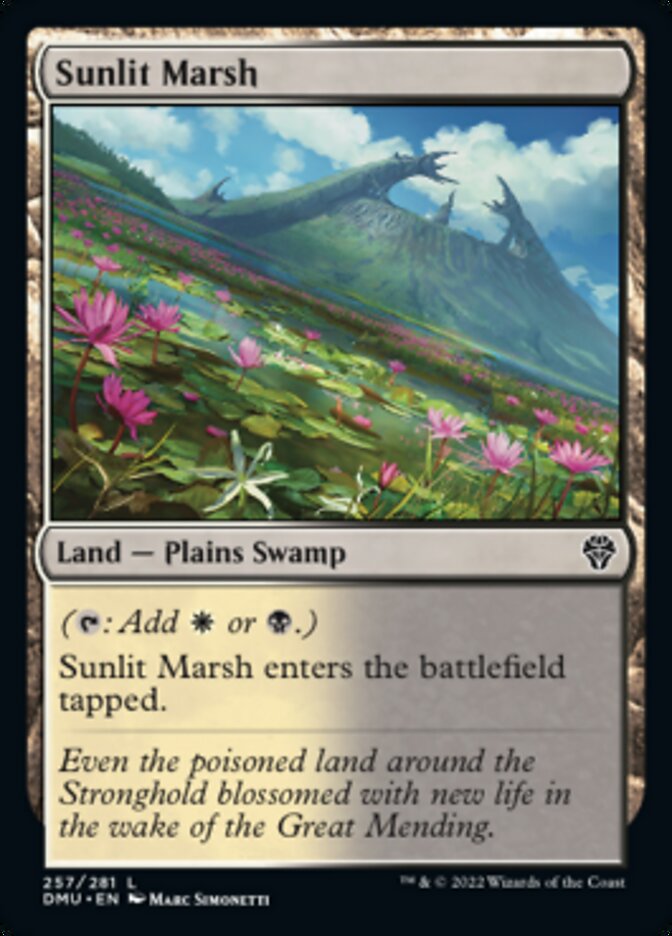 Sunlit Marsh [Dominaria United] | Game Master's Emporium (The New GME)