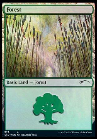 Forest (Elves) (579) [Secret Lair Drop Promos] | Game Master's Emporium (The New GME)