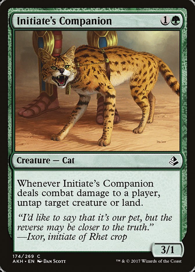 Initiate's Companion [Amonkhet] | Game Master's Emporium (The New GME)