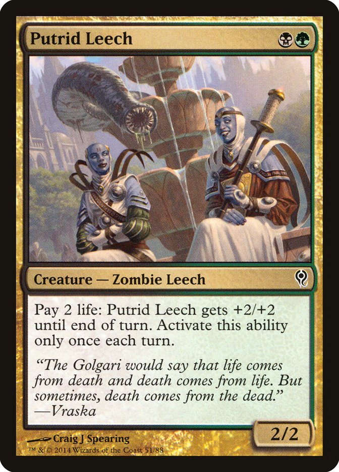Putrid Leech [Duel Decks: Jace vs. Vraska] | Game Master's Emporium (The New GME)
