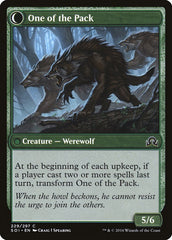 Solitary Hunter // One of the Pack [Shadows over Innistrad] | Game Master's Emporium (The New GME)