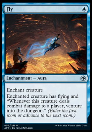 Fly [Dungeons & Dragons: Adventures in the Forgotten Realms] | Game Master's Emporium (The New GME)