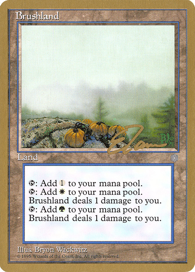 Brushland (Eric Tam) [Pro Tour Collector Set] | Game Master's Emporium (The New GME)