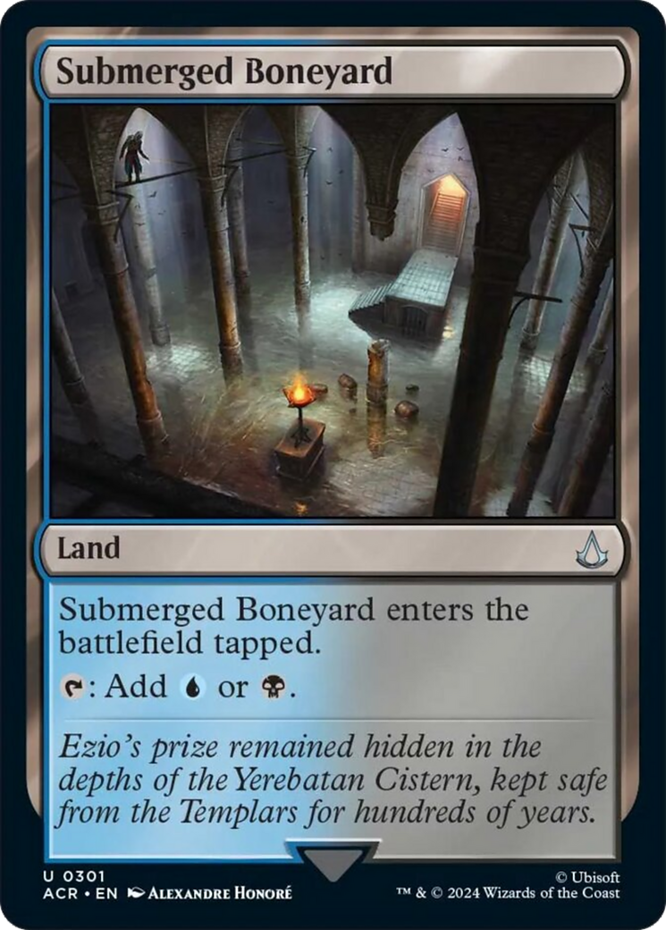 Submerged Boneyard [Assassin's Creed] | Game Master's Emporium (The New GME)