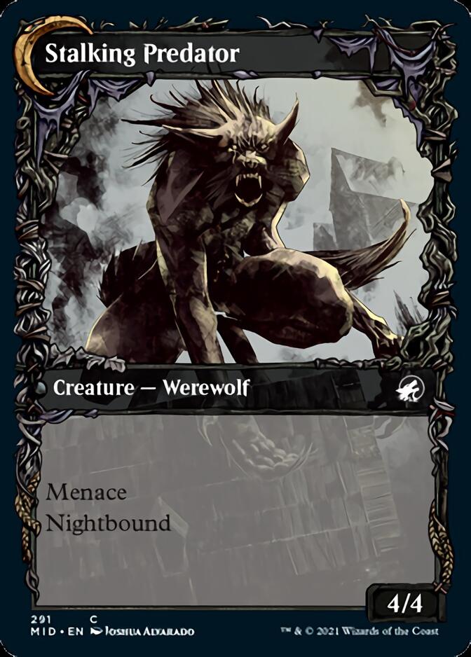 Shady Traveler // Stalking Predator (Showcase Equinox) [Innistrad: Midnight Hunt] | Game Master's Emporium (The New GME)