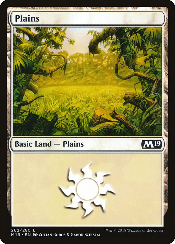Plains (262) [Core Set 2019] | Game Master's Emporium (The New GME)
