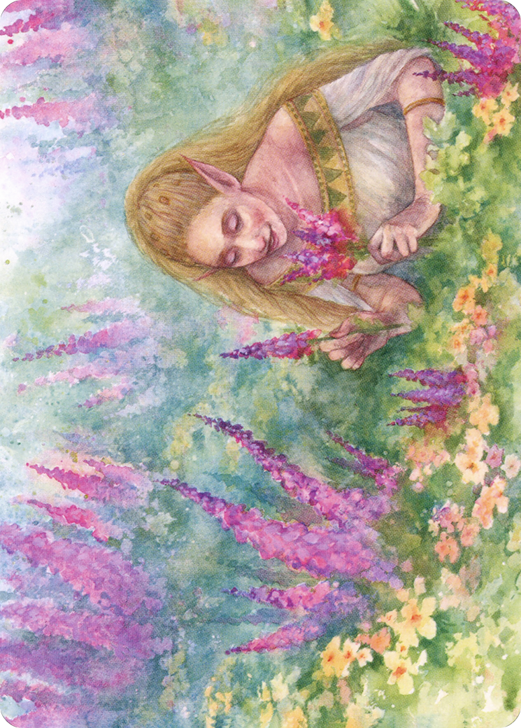 Abundant Harvest Art Card [Modern Horizons 2 Art Series] | Game Master's Emporium (The New GME)