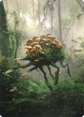 Saproling // Saproling Double-Sided Token [Unstable Tokens] | Game Master's Emporium (The New GME)