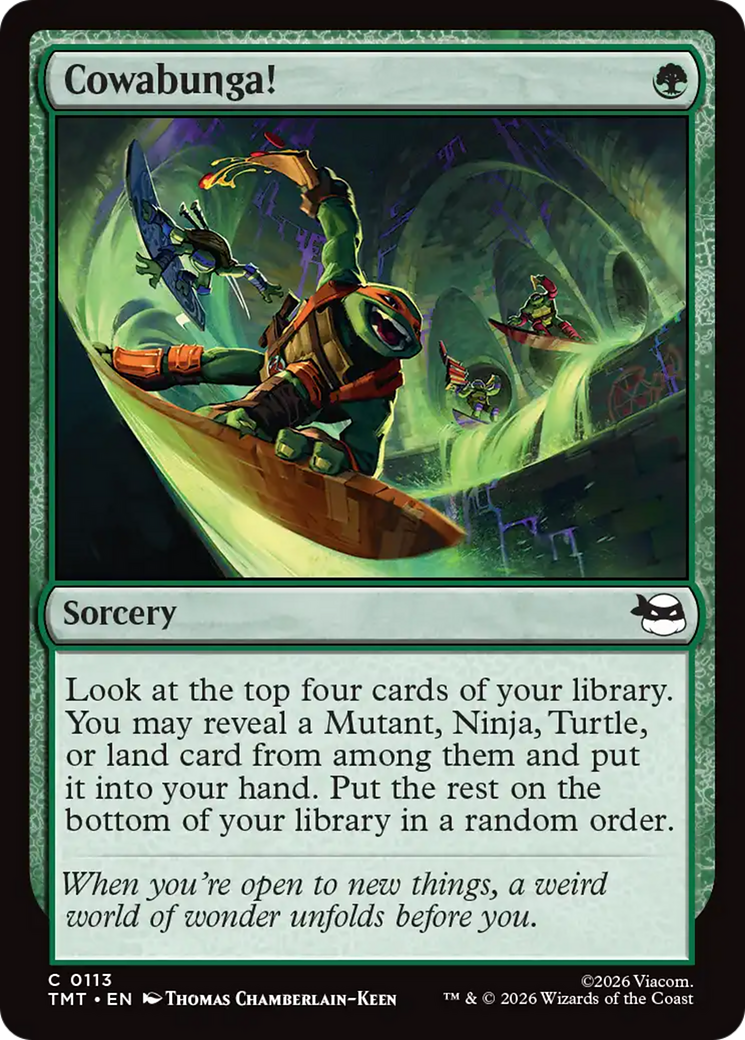 Cowabunga! [Teenage Mutant Ninja Turtles] | Game Master's Emporium (The New GME)