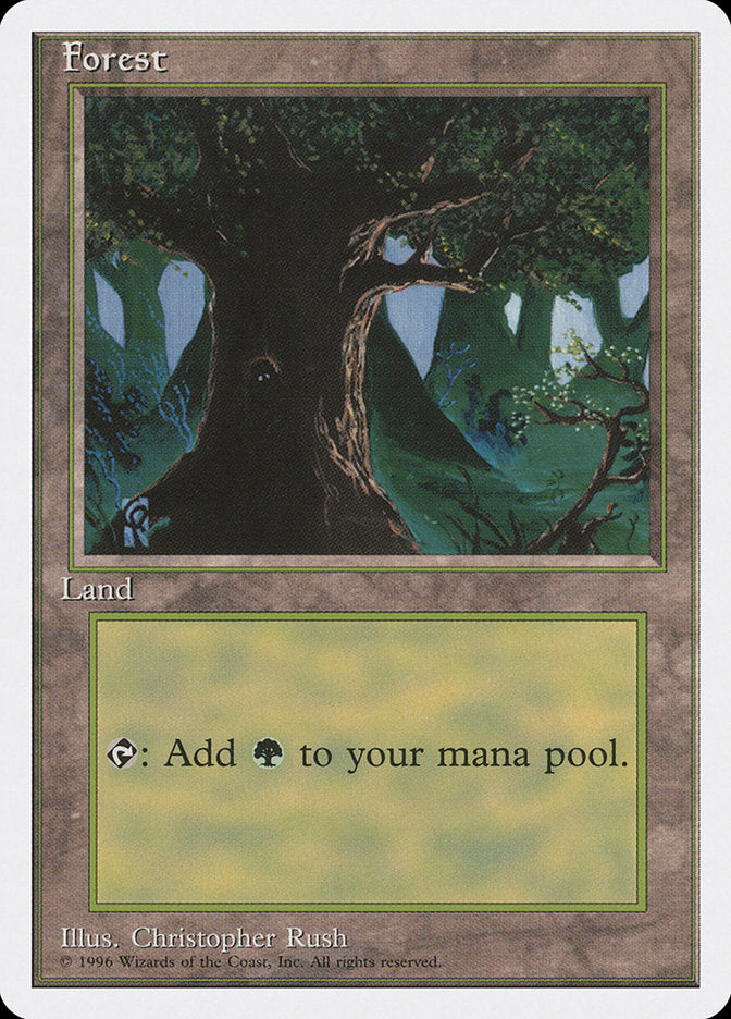Forest (Creature in Tree Hole) [Introductory Two-Player Set] | Game Master's Emporium (The New GME)