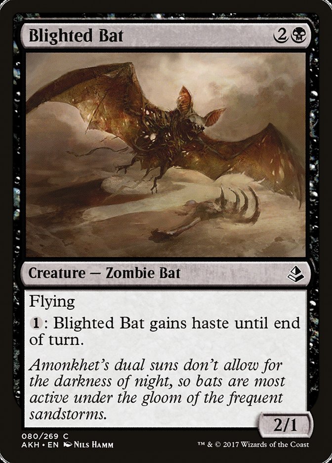 Blighted Bat [Amonkhet] | Game Master's Emporium (The New GME)