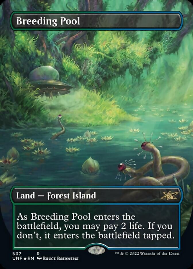 Breeding Pool (Borderless) (Galaxy Foil) [Unfinity] | Game Master's Emporium (The New GME)