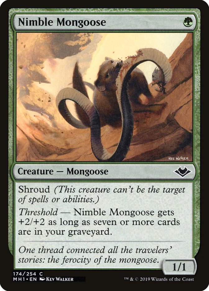 Nimble Mongoose [Modern Horizons] | Game Master's Emporium (The New GME)