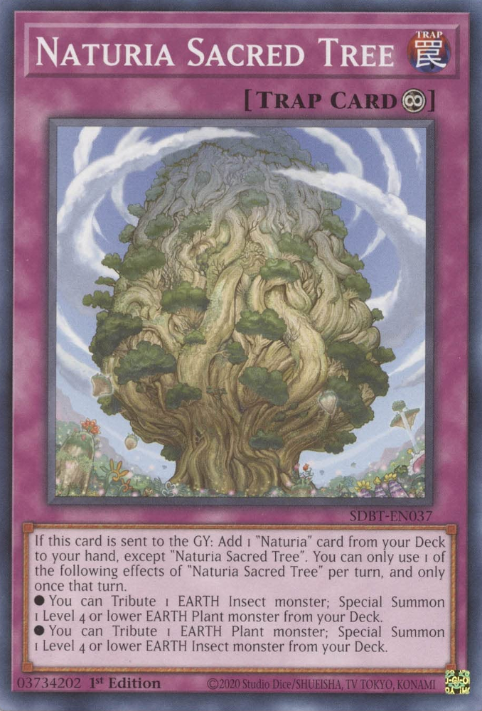 Naturia Sacred Tree [SDBT-EN037] Common | Game Master's Emporium (The New GME)