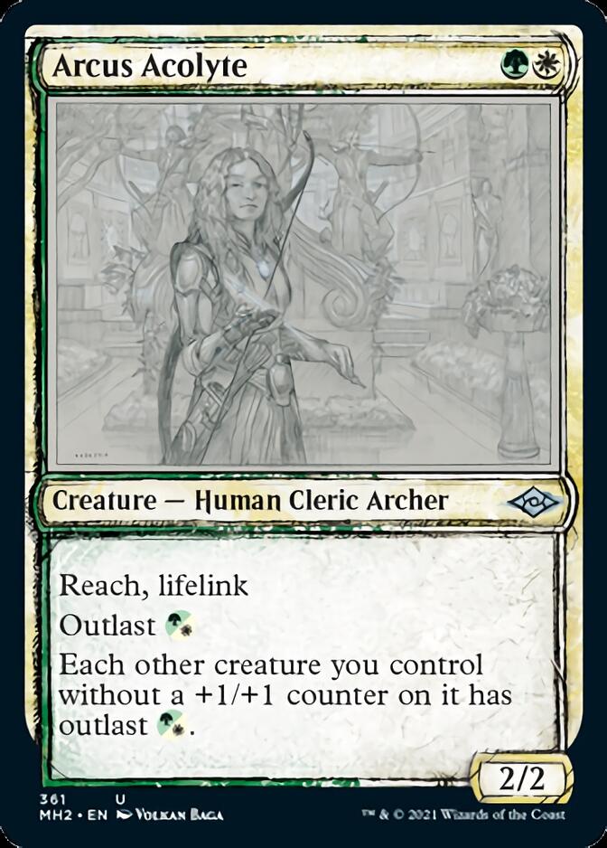 Arcus Acolyte (Sketch) [Modern Horizons 2] | Game Master's Emporium (The New GME)