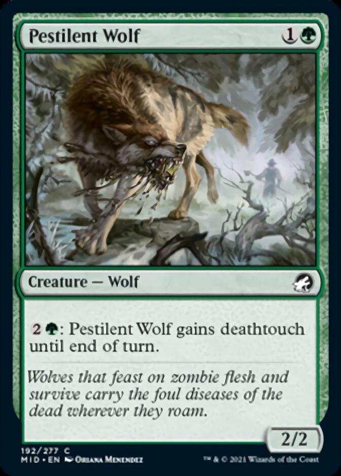 Pestilent Wolf [Innistrad: Midnight Hunt] | Game Master's Emporium (The New GME)