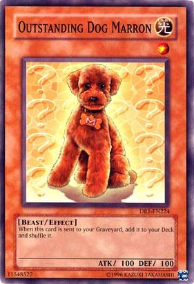 Outstanding Dog Marron [DR1-EN224] Common | Game Master's Emporium (The New GME)