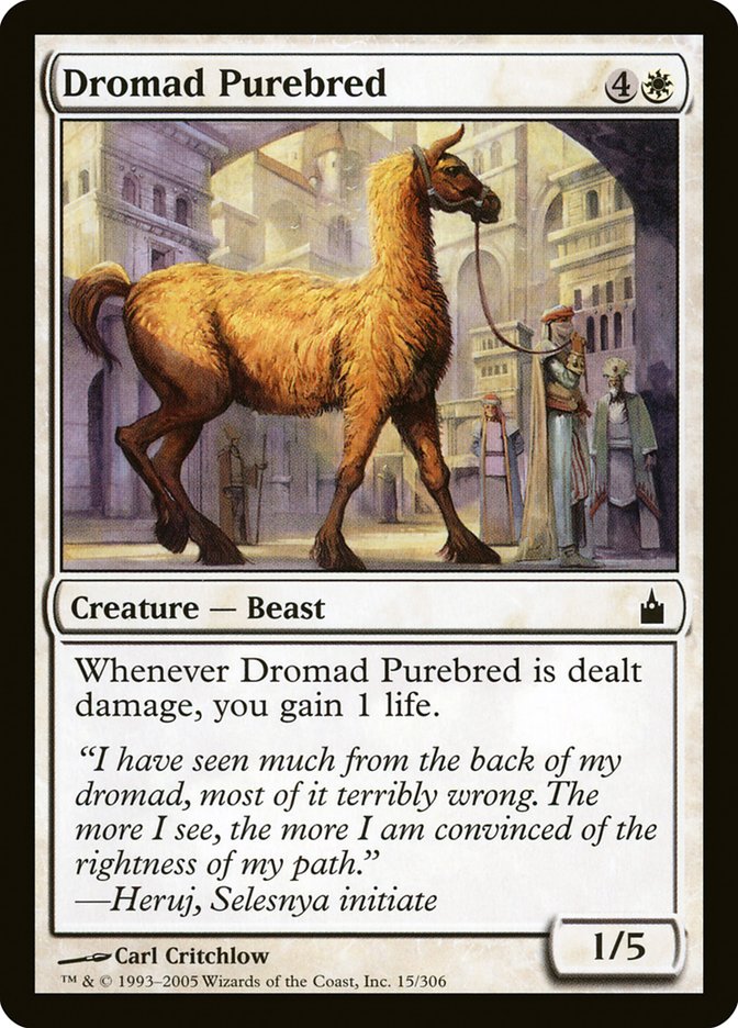Dromad Purebred [Ravnica: City of Guilds] | Game Master's Emporium (The New GME)