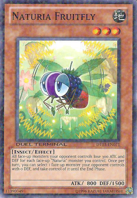 Naturia Fruitfly [DT03-EN071] Common | Game Master's Emporium (The New GME)