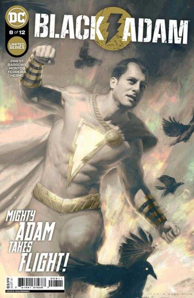 Black Adam #8 (Of 12) Cover A Irvin Rodriguez | Game Master's Emporium (The New GME)