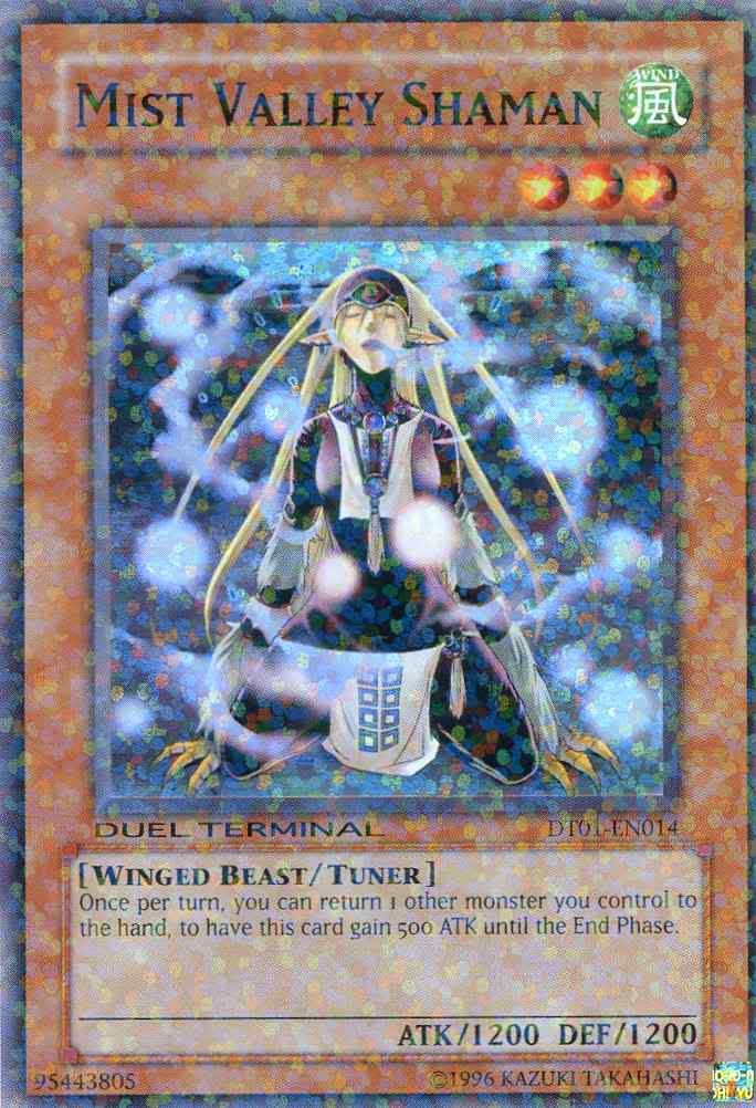 Mist Valley Shaman [DT01-EN014] Super Rare | Game Master's Emporium (The New GME)