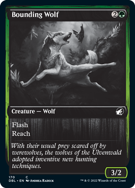 Bounding Wolf [Innistrad: Double Feature] | Game Master's Emporium (The New GME)