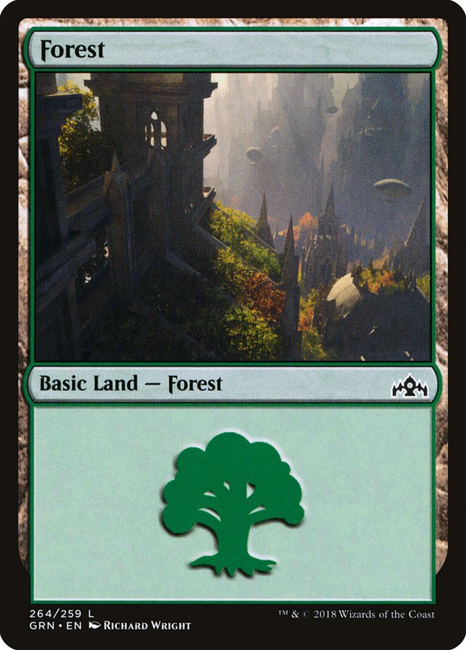 Forest (264) [Guilds of Ravnica] | Game Master's Emporium (The New GME)