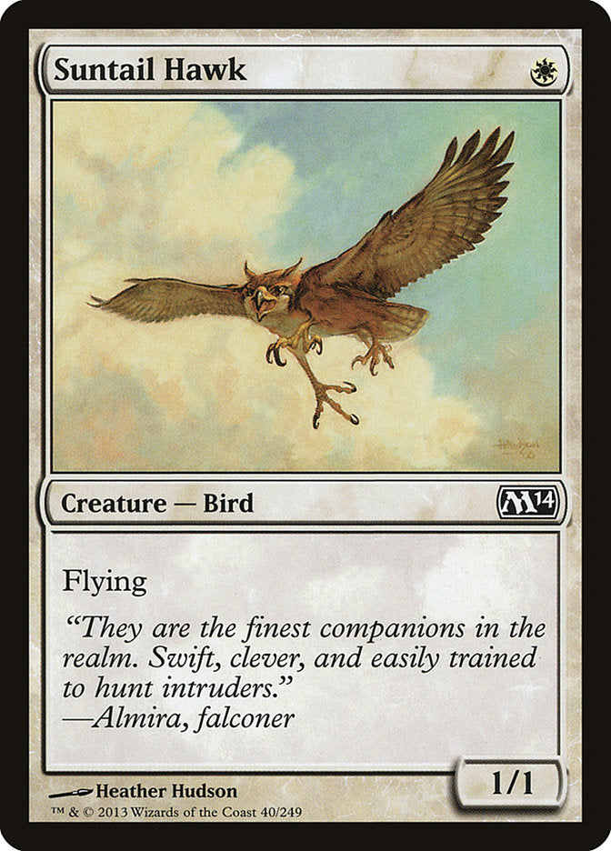 Suntail Hawk [Magic 2014] | Game Master's Emporium (The New GME)